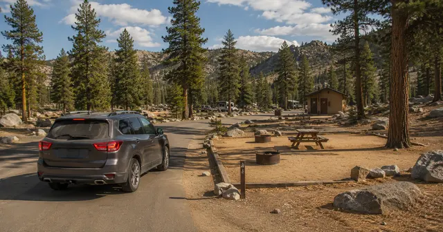 Road Trip Camping