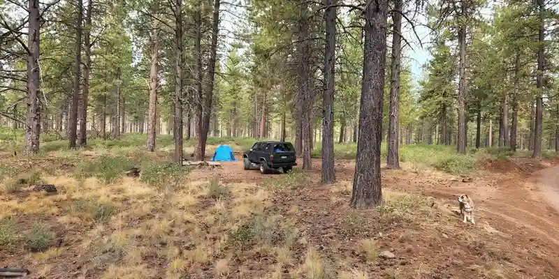 dispersed camping oregon