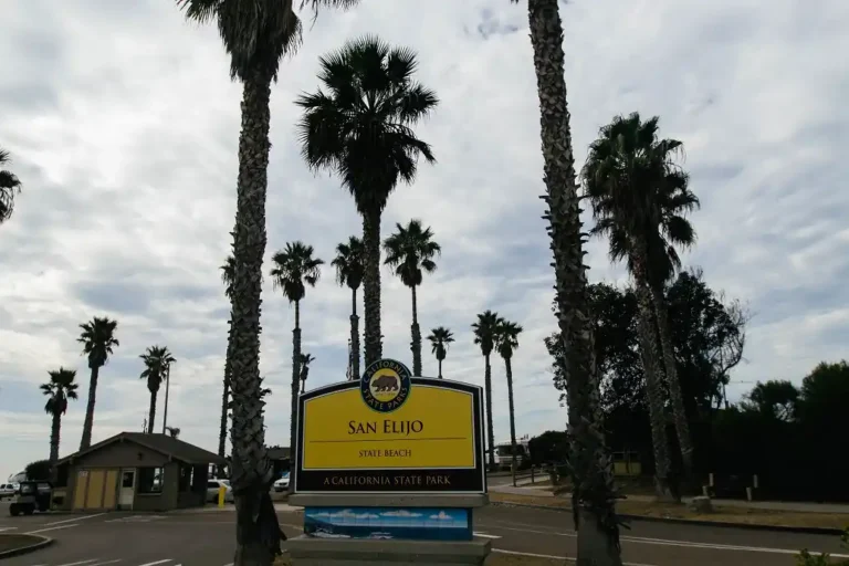 san elijo state beach camping