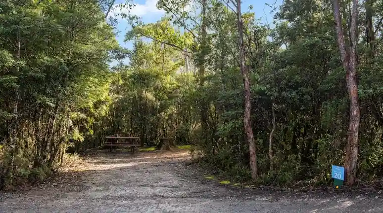 cradle mountain camping